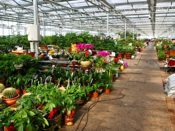 生態(tài)園溫室 (1)