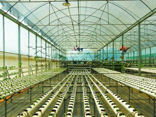 無(wú)土栽培 (3)