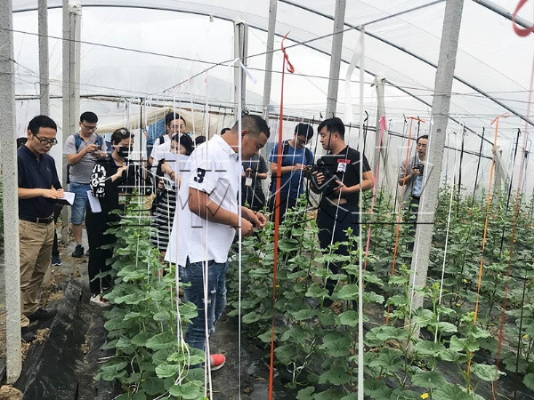 春秋拱棚、保溫拱棚溫室