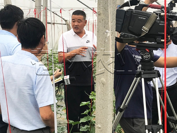 春秋拱棚、保溫拱棚溫室