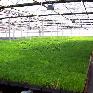 <img src=upfile/images/2019/08/22/small4_15664391273694089.jpg >