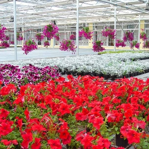 <img src=upfile/images/2019/08/22/small4_15664395641476499.jpg >