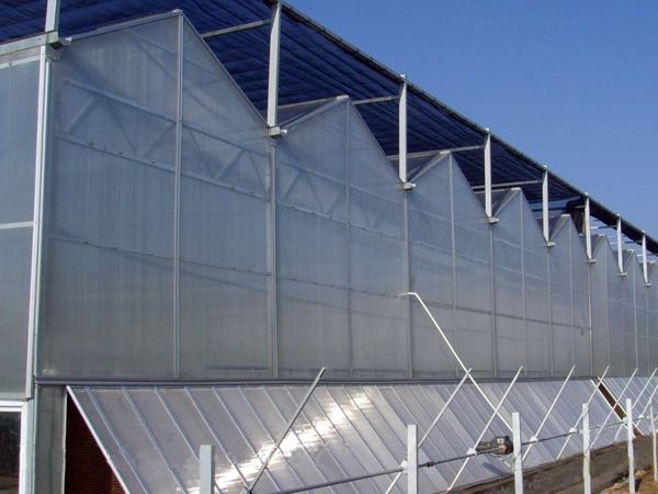 陽(yáng)光板溫室 (2)
