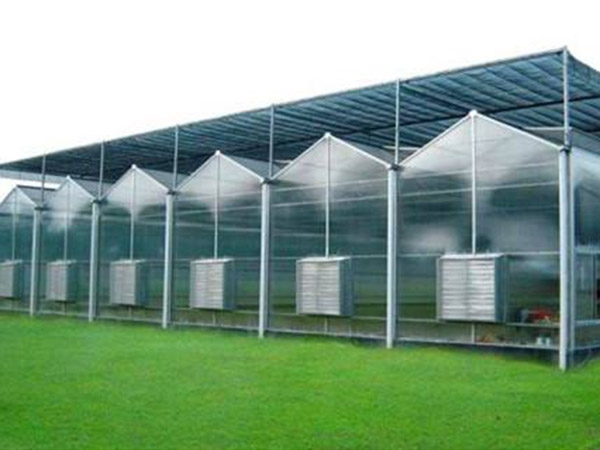 陽光板溫室