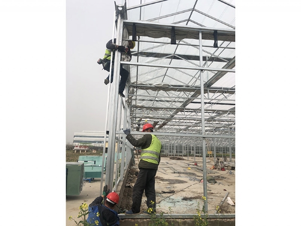 溫室骨架 (12)