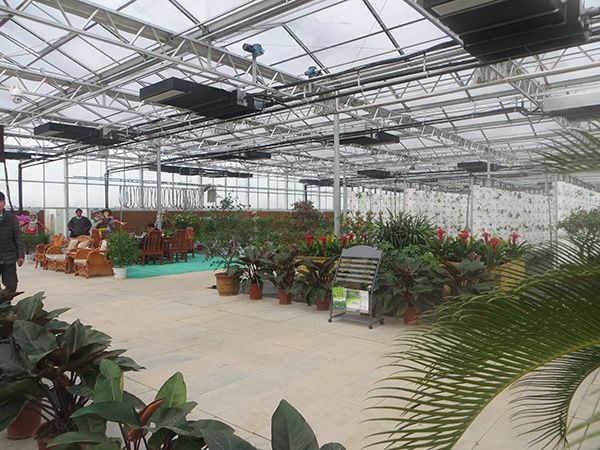 生態(tài)餐廳 (11)