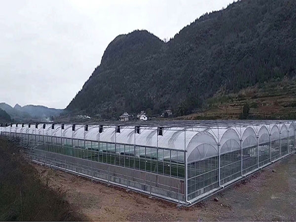 連棟薄膜溫室 (2)