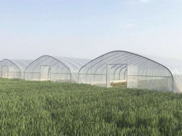 春秋保溫拱棚 (7)