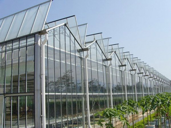 玻璃溫室