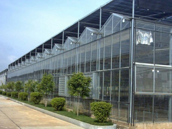 玻璃溫室