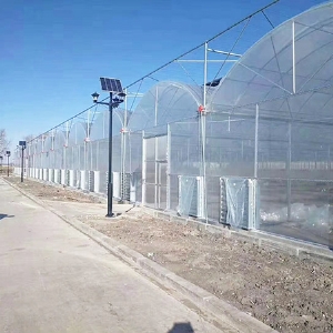 <img src=upfile/images/2021/05/27/small4_16220767644926206.jpg >