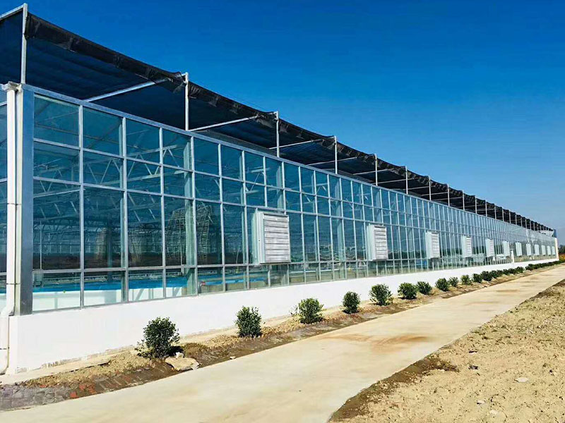 玻璃溫室