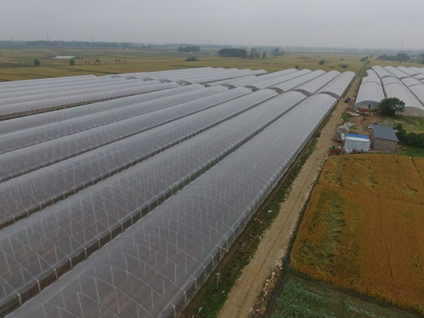 微信圖片_20190806100046