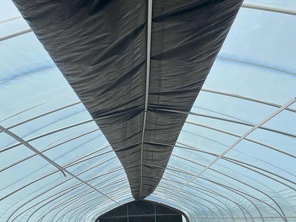 微信圖片_20190806100046