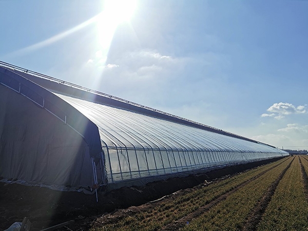 微信圖片_20190806100046