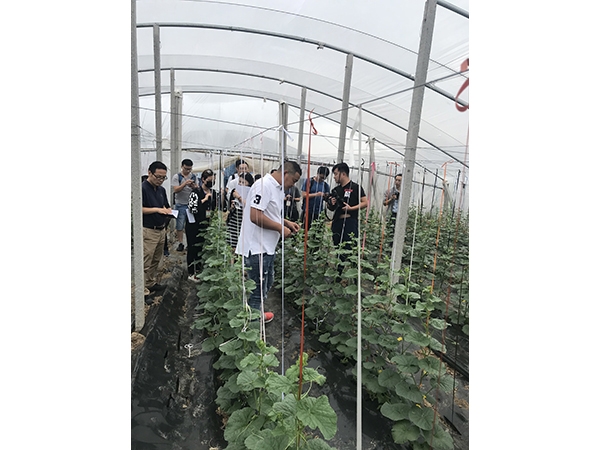 微信圖片_20190806100046