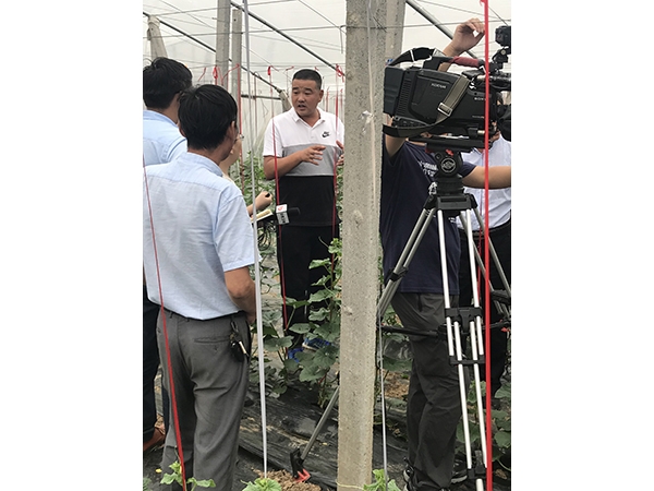 微信圖片_20190806100046