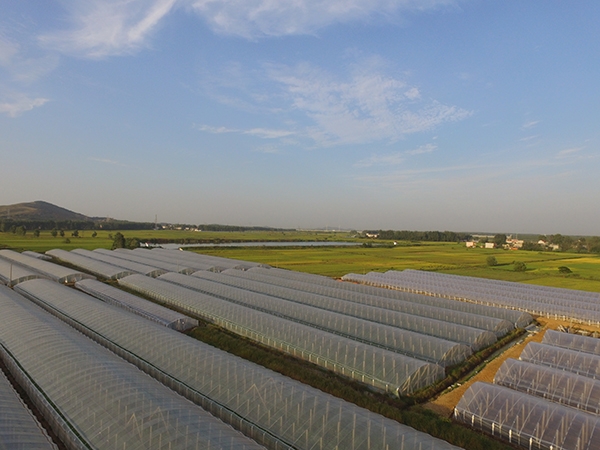 微信圖片_20190806100046