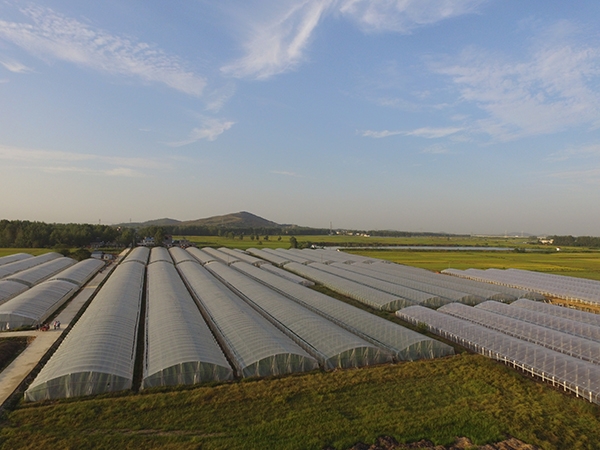 微信圖片_20190806100046