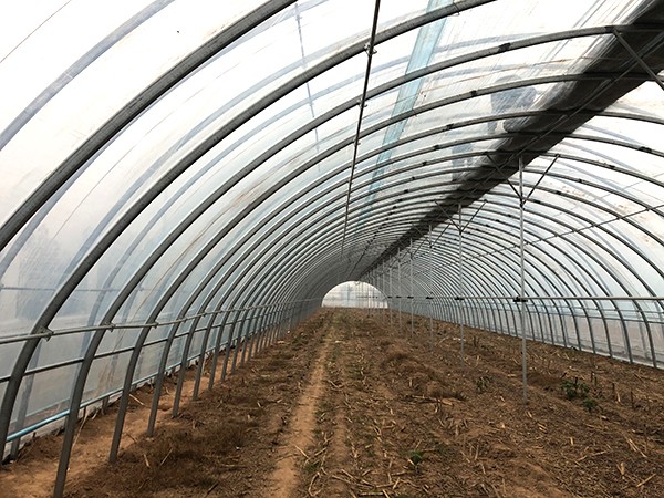 拱形溫室